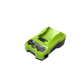 Chargeur 24 V Greenworks G24C