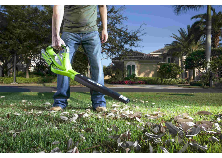 Aspirateur de feuilles Greenworks GD40BVIIK2X