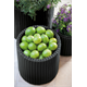 Ensemble pots de fleurs extérieur Keter Cylinder 220455